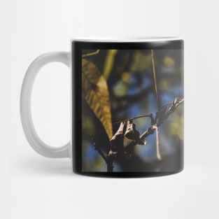 Hang Mug